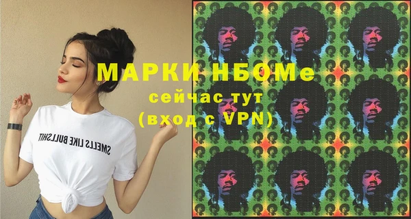 ешки Алексин
