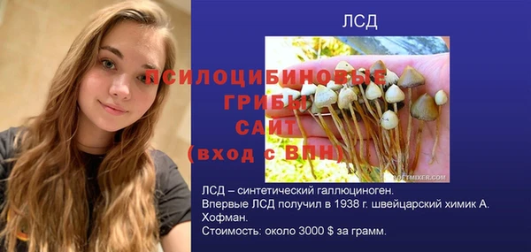 ешки Алексин