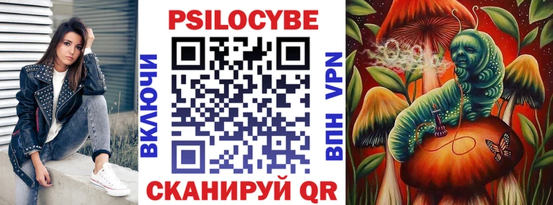 наркотики Уссурийск Псилоцибиновые грибы ЛСД