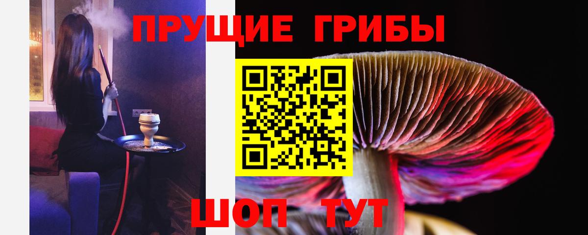 Псилоцибиновые грибы Psilocybe  Вход с VPN  Уссурийск 